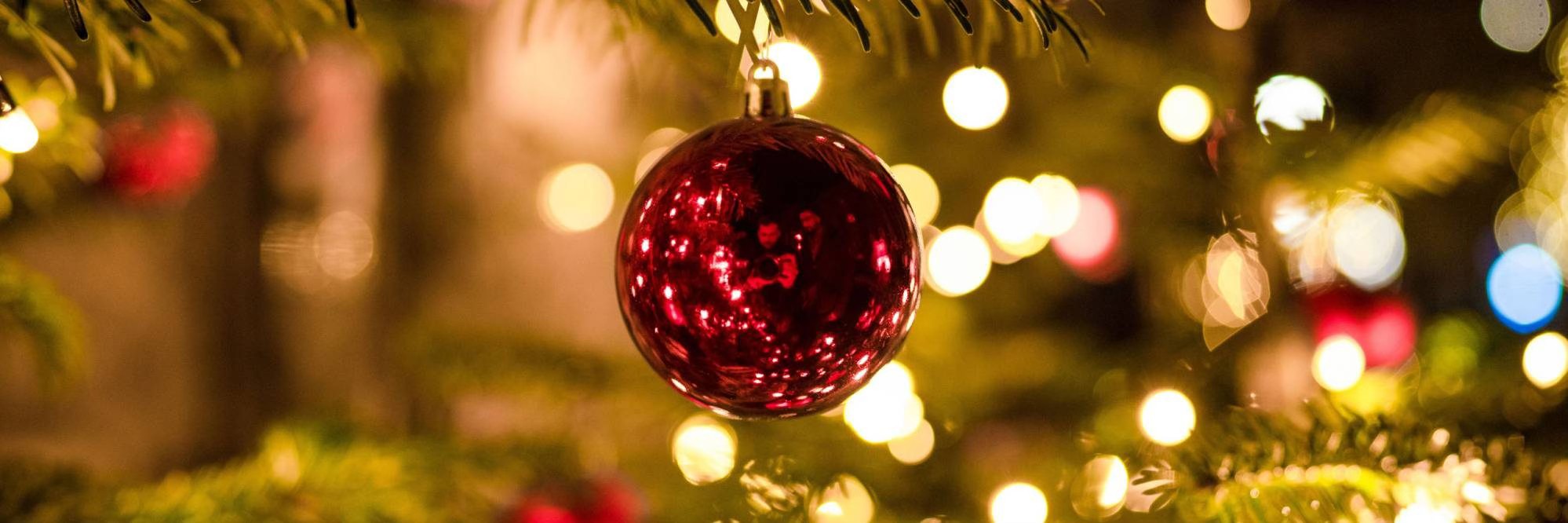 597693401_1270234158483915_3559890279249899283_n