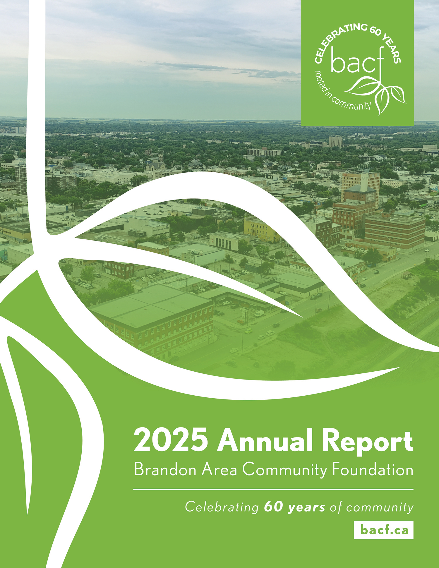 BACF Annual Report - 2019